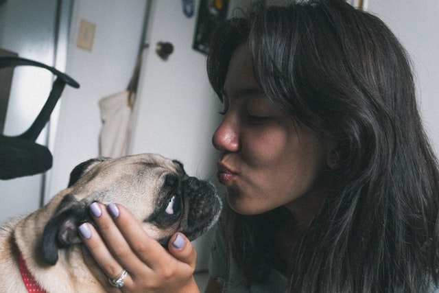 conexión perro y dueño