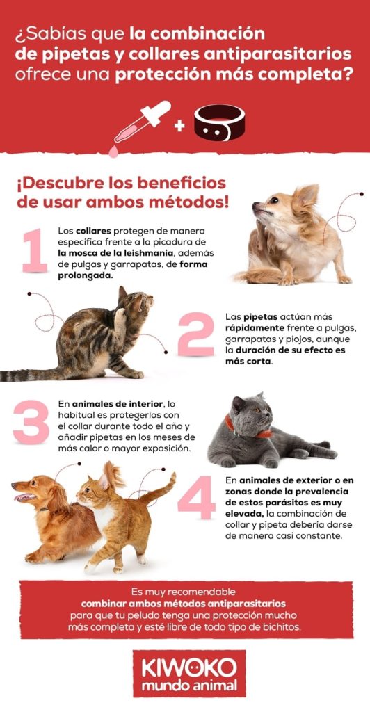pipetas y collares juntos más protección