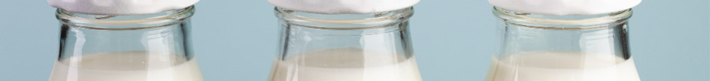 leche como alimentos prohibido para gatos
