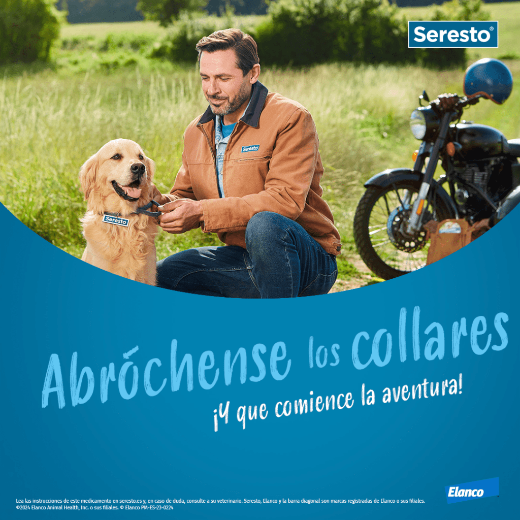 Collares seresto