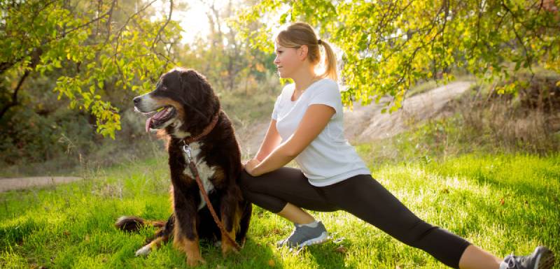 ejercicio de los perros