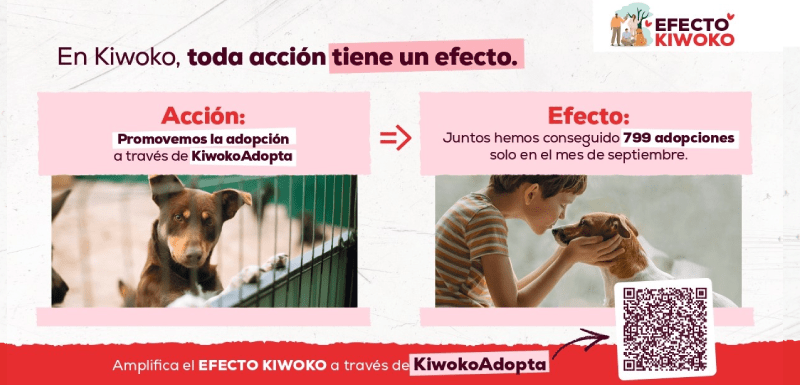 conoce el efecto Kiwoko
