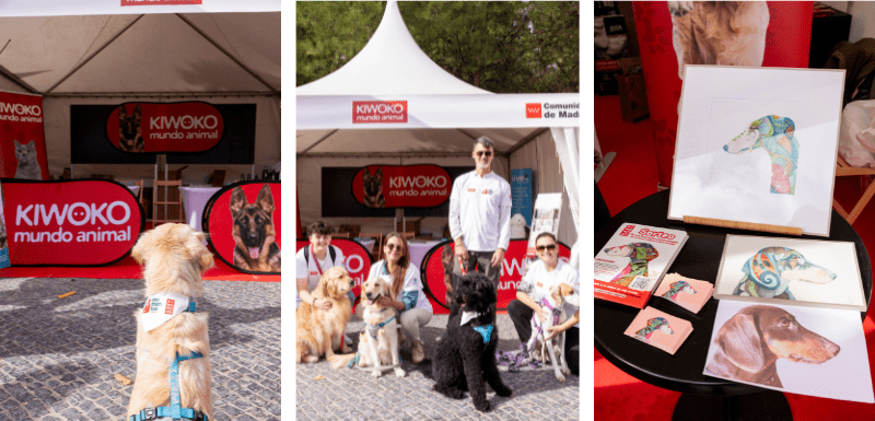 Salon de adopciones Madrid
