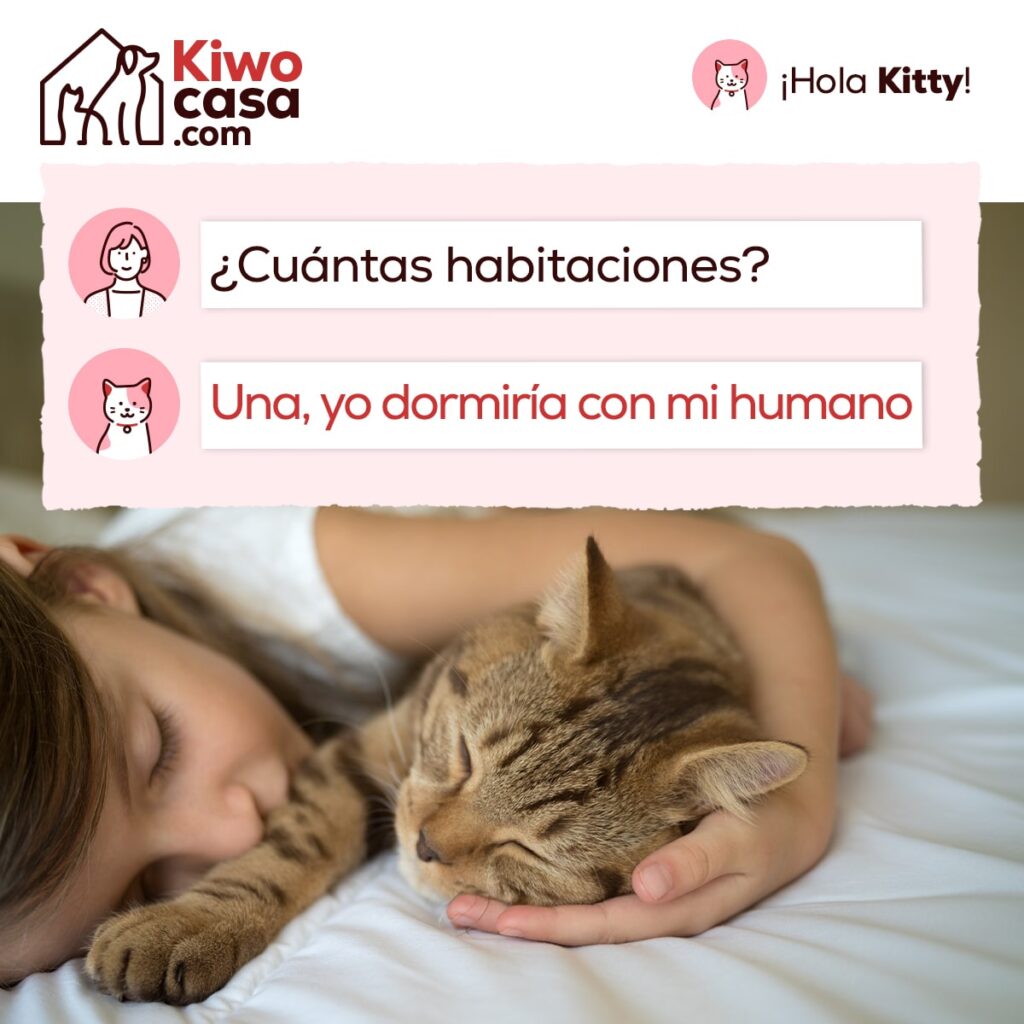 campaña tenencia responsable