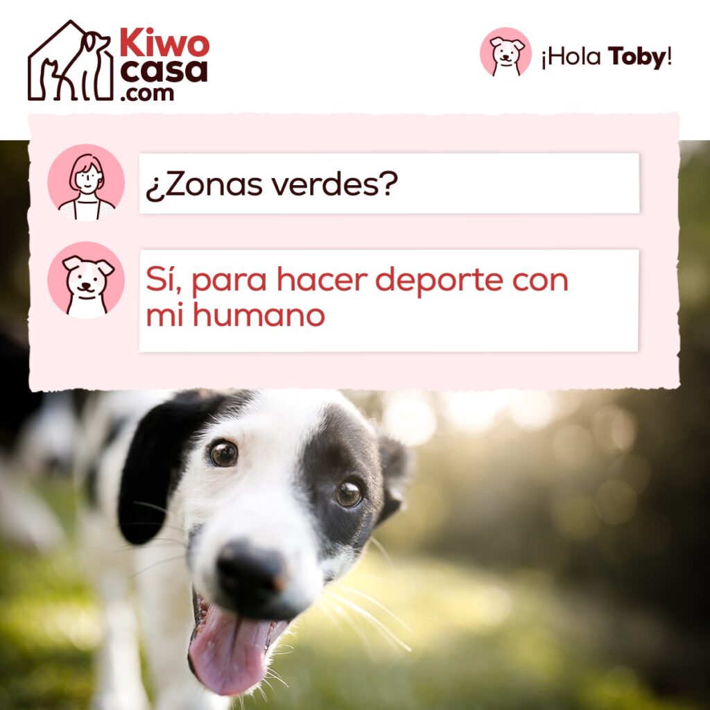 tenencia responsable campaña