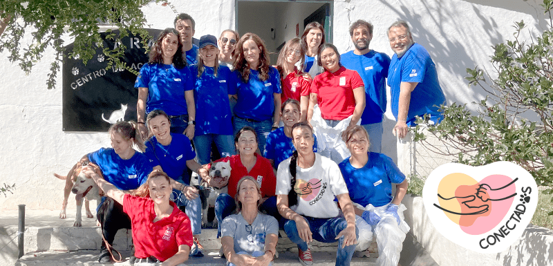 conectados programa