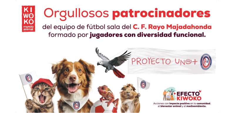 proyecto uno +