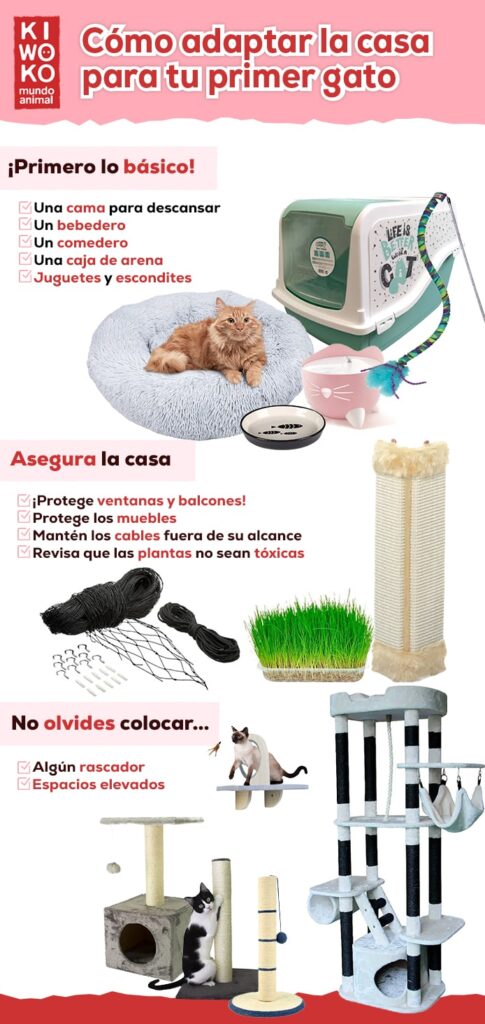 como adaptar casa primer gato