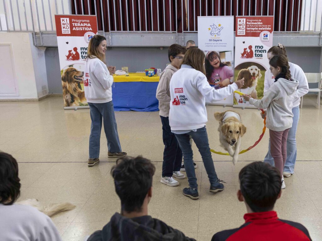 fundación gil gayarre momentos by kiwoko