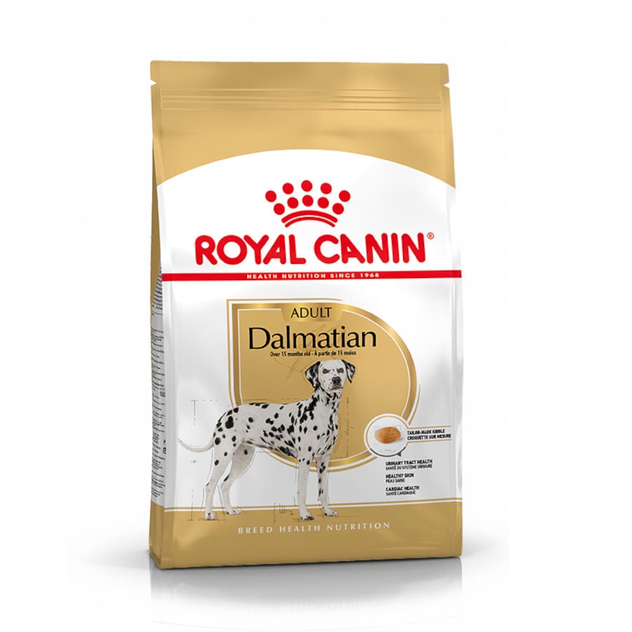 12 kg Royal Canin Adult D&aacute;lmata pienso para perros, , large Imagen numero 1