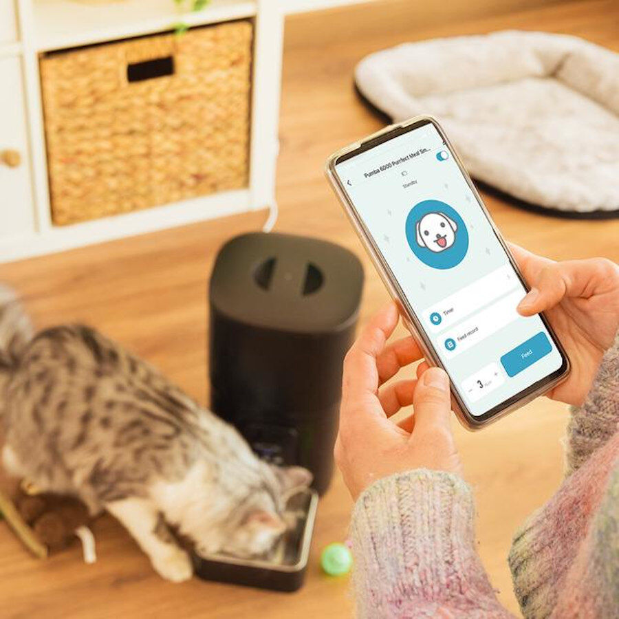 Cecotec Pumba 6000 Purrfect Meal Smart Comedero Autom&aacute;tico para perros y gatos, , large indicador imagen numero 7