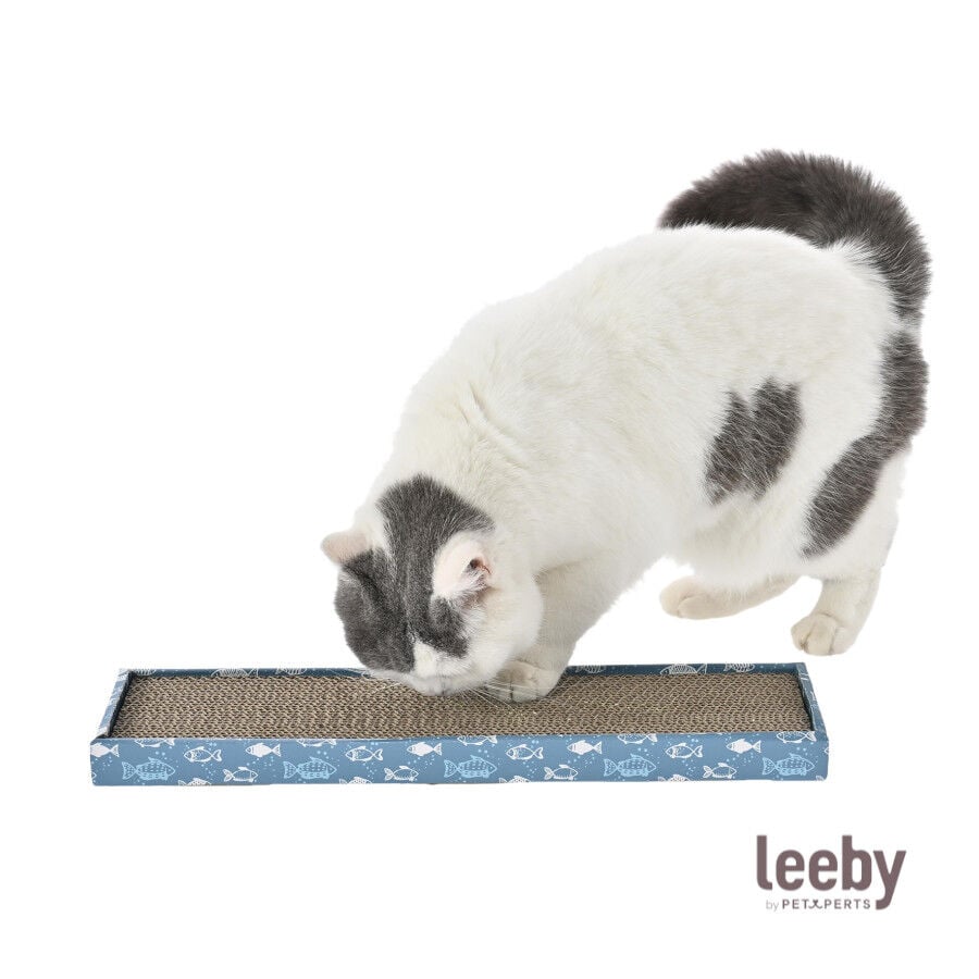 Leeby Fitz tabla rascador de cart&oacute;n azul para gatos