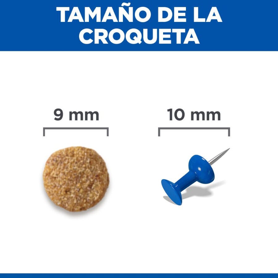 10 kg Hill's Science Plan Adult Pollo pienso para gatos, , large Imagen numero 8