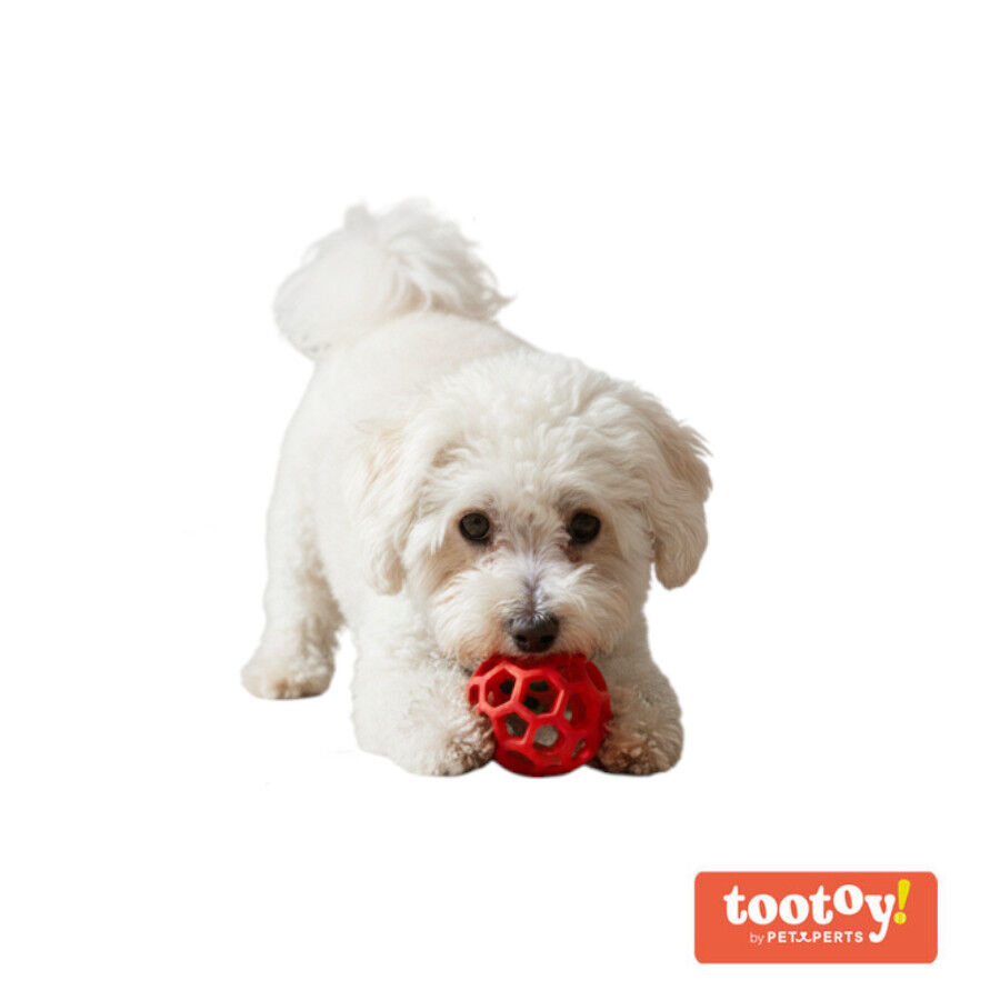Tootoy! Pelota Easy Grip Hexagonal para perros, , large indicador imagen numero 7