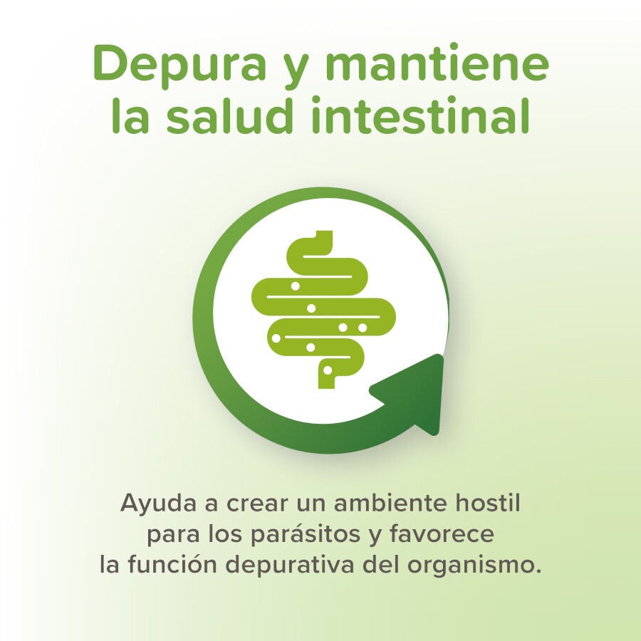 Beaphar Vermipure Repelente Interno Natural en comprimidos para perros peque&ntilde;os y cachorros, , large indicador imagen numero 5