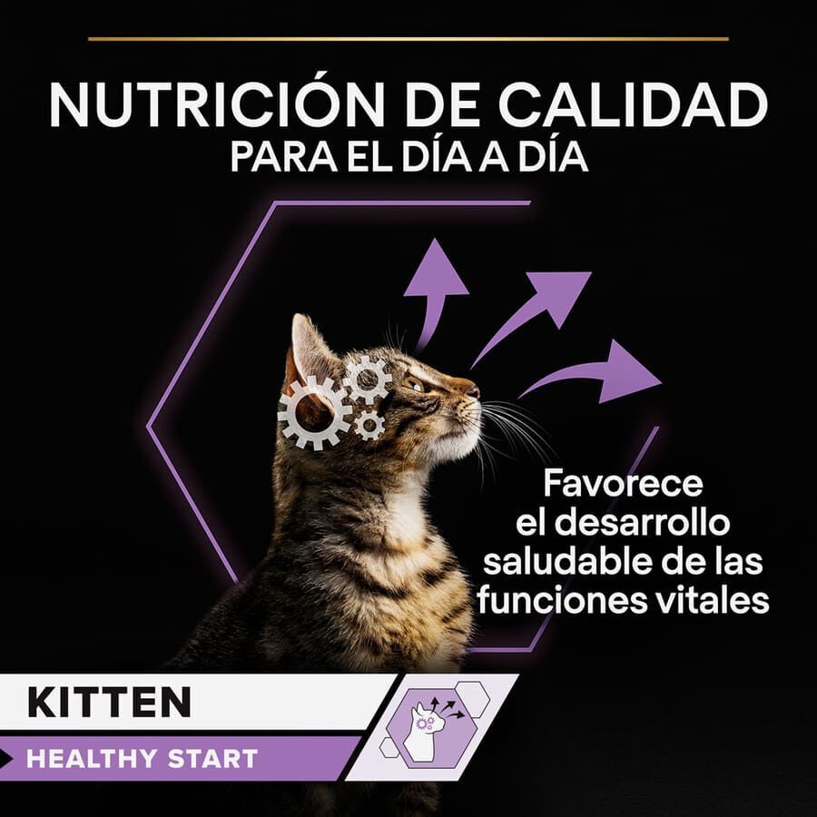 85 g Pro Plan NutriSavour Feline Kitten Pavo en salsa sobre para gatos&nbsp;, , large Imagen numero 3