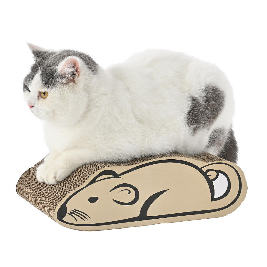 Leeby Miaou tabla rascador de cart&oacute;n para gatos, , large indicador imagen numero 4