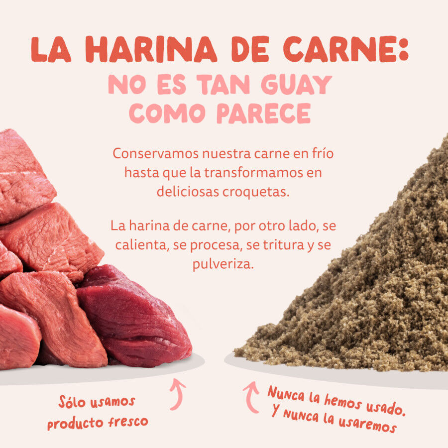 12 kg Edgard & Cooper Senior Salm&oacute;n Noruego y Pollo pienso para perros, , large indicador imagen numero 9