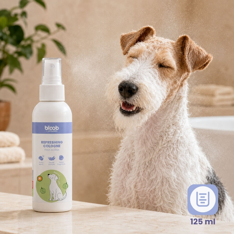 Bloob Colonia Refrescante Mel&oacute;n para perros, , large Imagen numero 7