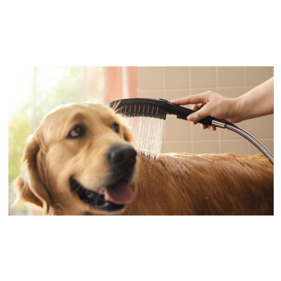 Hansgrohe Alcachofa de Ducha Negra para perros, , large indicador imagen numero 4