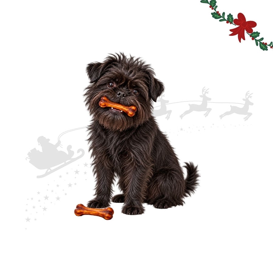 1 pack x 2 uds. Wonder Christmas D&uacute;o Huesos Piel Prensada Snacks para perros, , large Imagen numero 1