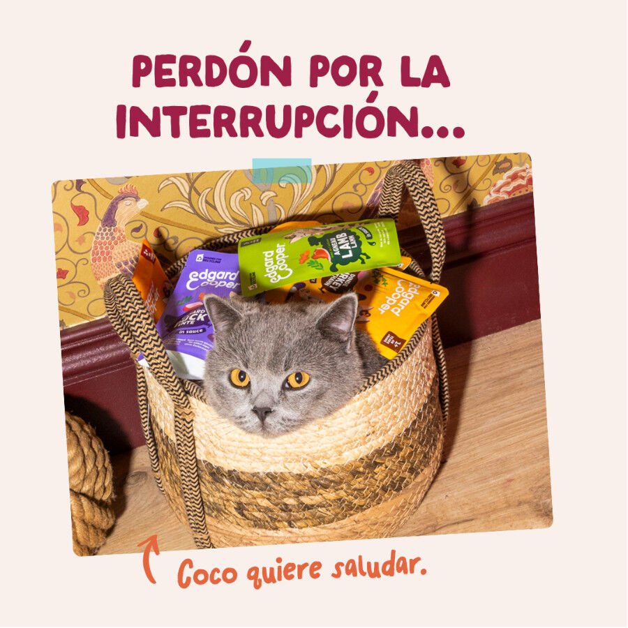 85 g Edgard & Cooper Pollo sobre en salsa para gatos, , large indicador imagen numero 8