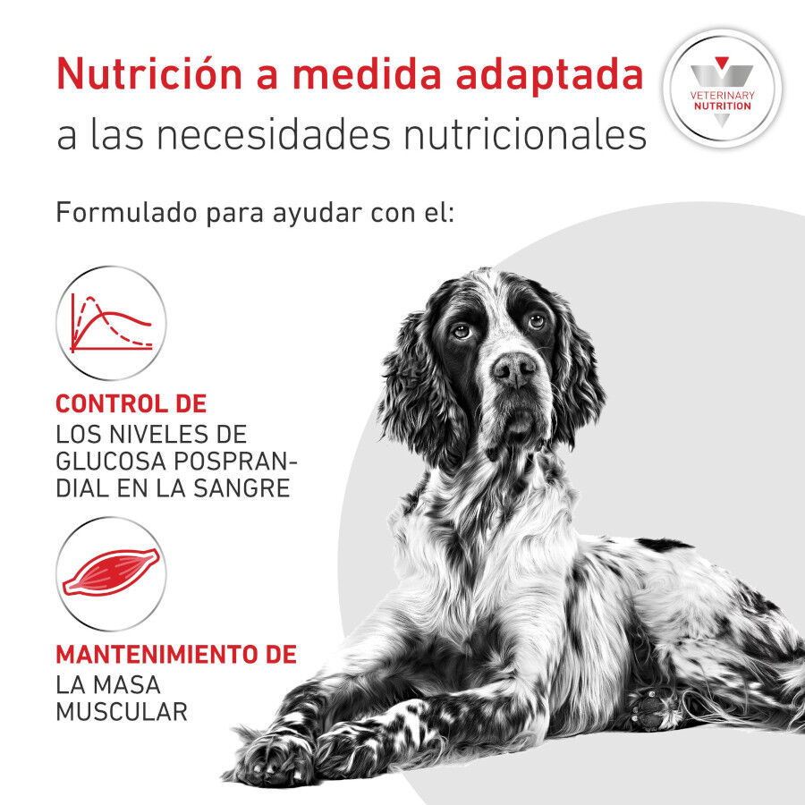 12 kg Royal Canin Veterinary Diabetic pienso para perros, , large indicador imagen numero 3