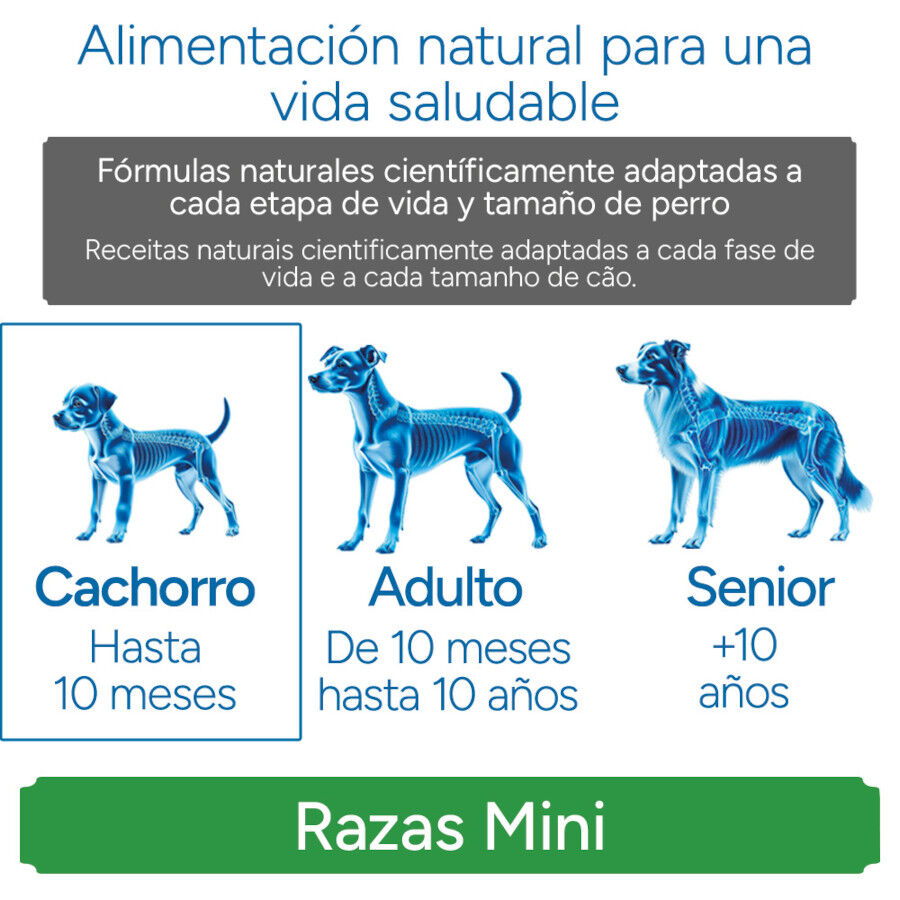 3 kg Criadores Cient&iacute;fico Mini Pienso Pollo para cachorros, , large indicador imagen numero 11