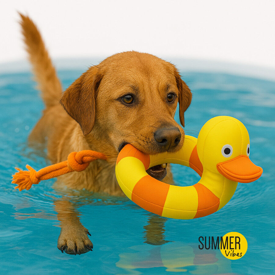 Summer Vibes Pato Flotante juguete para perros, , large indicador imagen numero 2