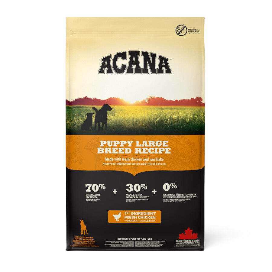 17 kg Acana Puppy Large Breed pienso para perros, , large Imagen numero 1