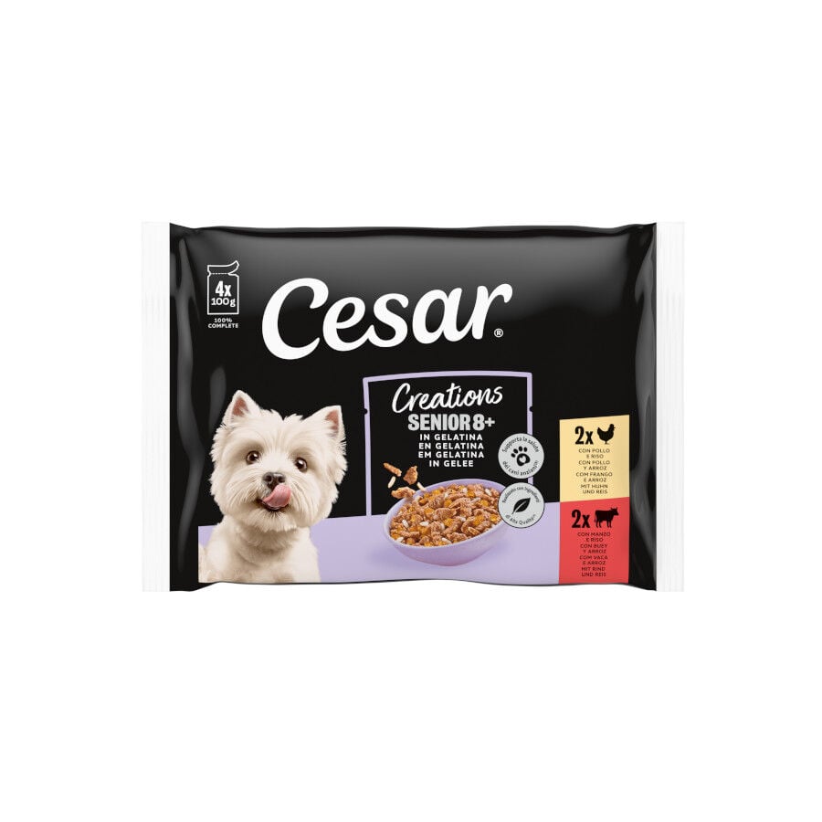 Cesar Carnes Mixtas Gelatina en Bolsita para Perros Senior - Multipack