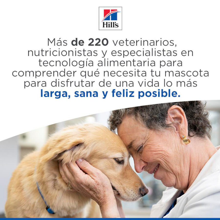 12 kg Hill's Science Plan Light Mature Adult 7+ Medium Pollo pienso para perros, , large Imagen numero 9