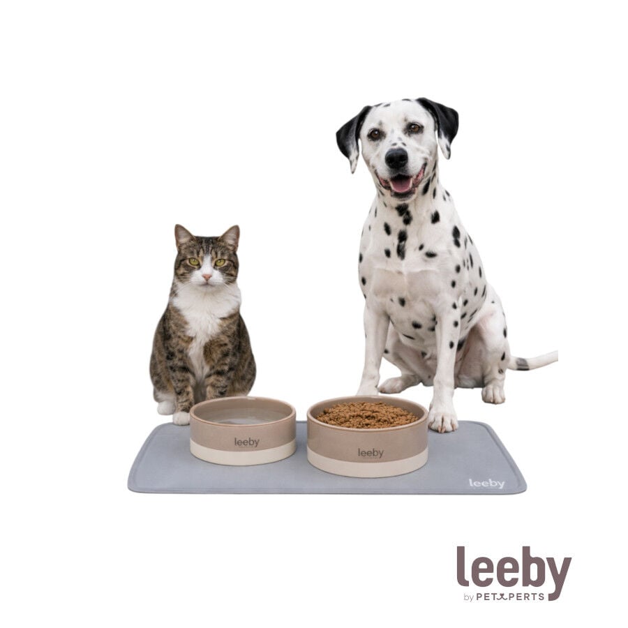 Leeby Alfombrilla Antideslizante Comedero forma Gato Gris para perros y gatos