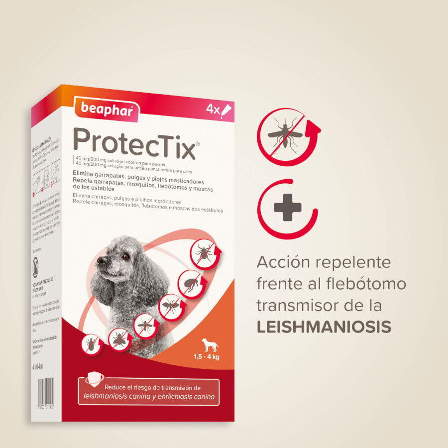 Beaphar Protectix Pipetas Antiparasitarias para perros, , large indicador imagen numero 4