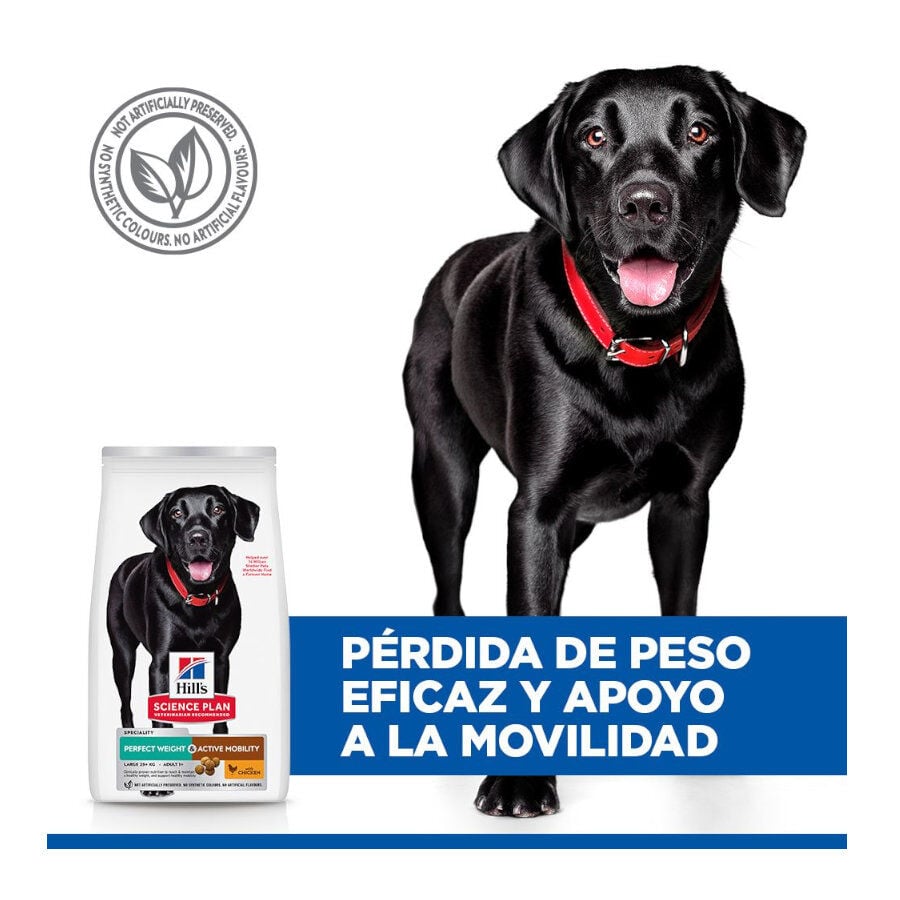 12 kg Hill's Science Plan Perfect weight y Active Mobility pollo pienso para perros grandes, , large indicador imagen numero 5