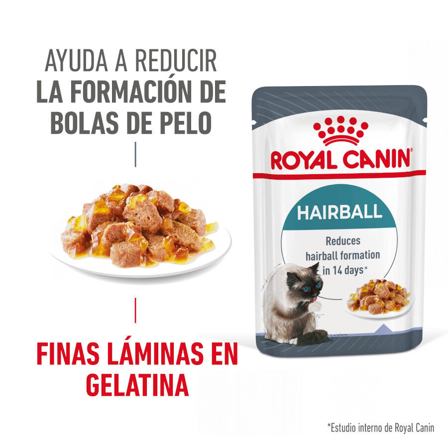 85 g Royal Canin Hairball Care Sobre en Gelatina para gatos, , large indicador imagen numero 7