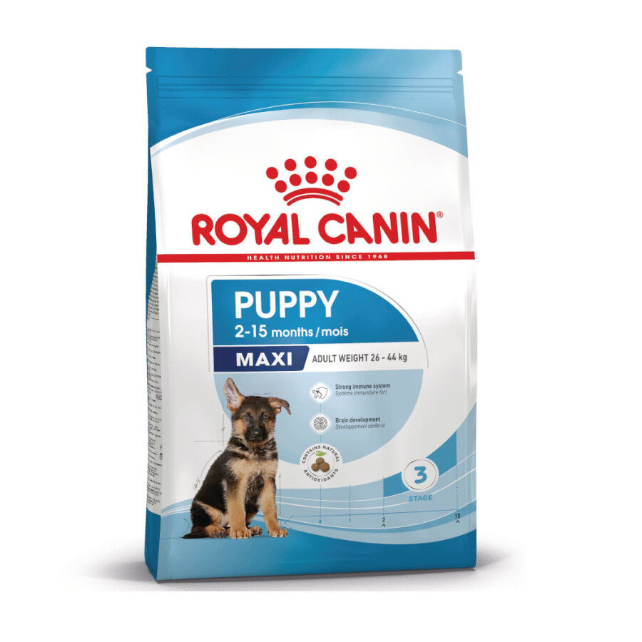 1 kg Royal Canin Puppy Maxi pienso para perros, , large indicador imagen numero 1