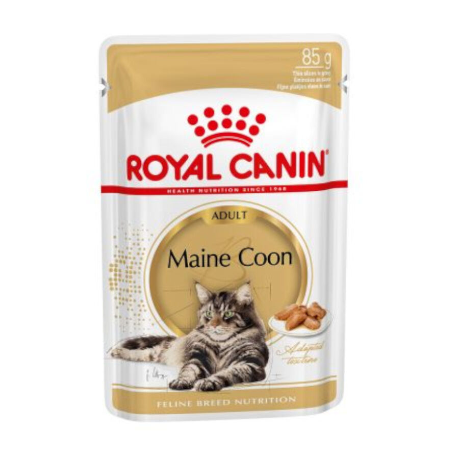 85 g Royal Canin Maine Coon sobres para gatos, , large indicador imagen numero 1
