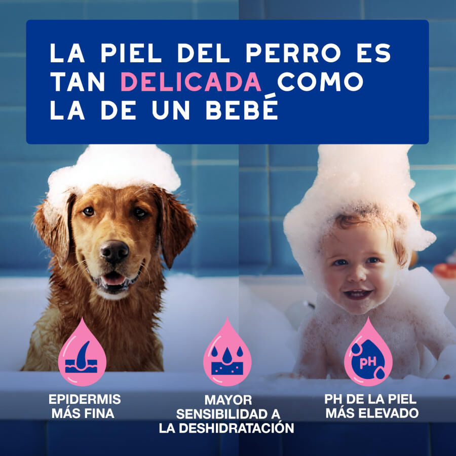 Ceva Douxo Spa Champ&uacute; Alivia para perros, , large Imagen numero 8