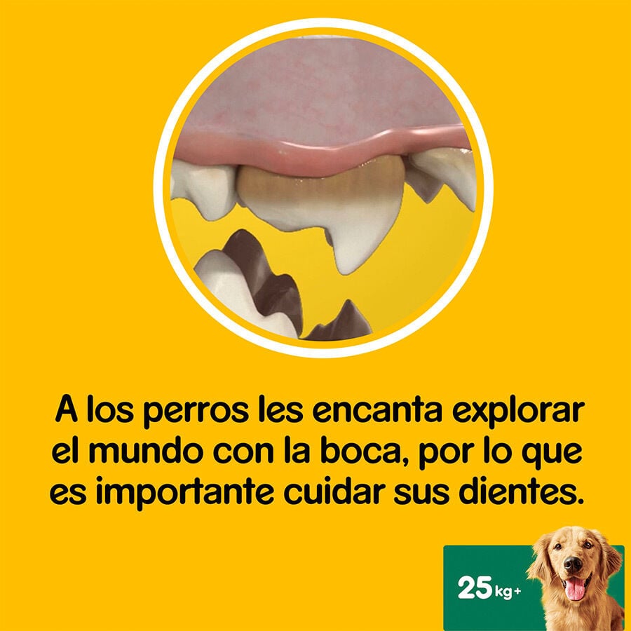 105 barritas Pedigree Dentastix Snacks Dentales para perros grandes, , large Imagen numero 5