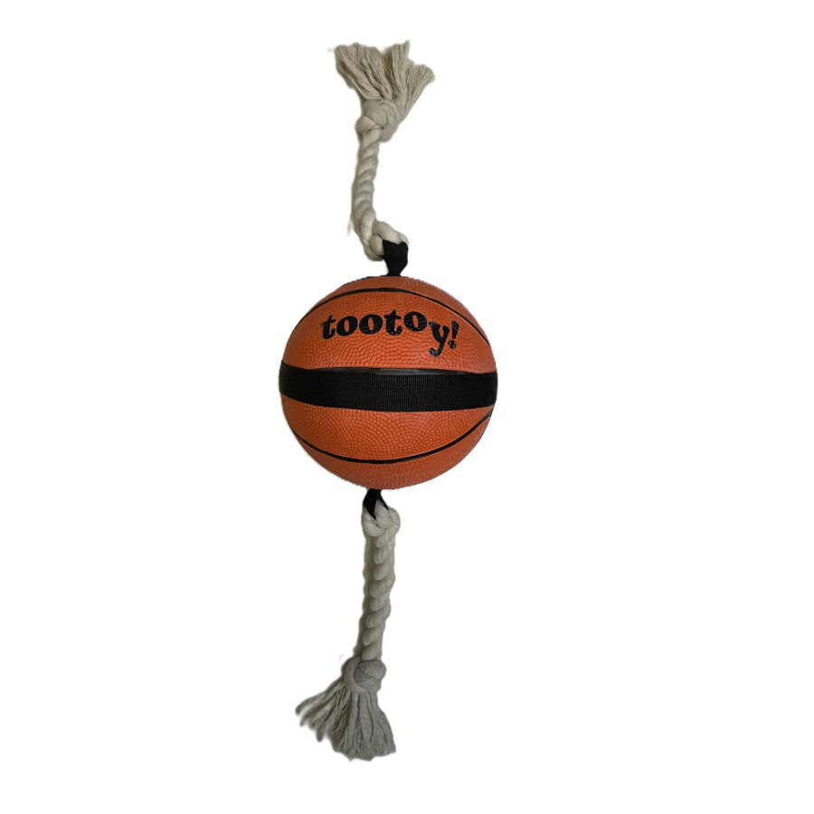Tootoy! Chase Large Basketball pelota para perros, , large Imagen numero 2