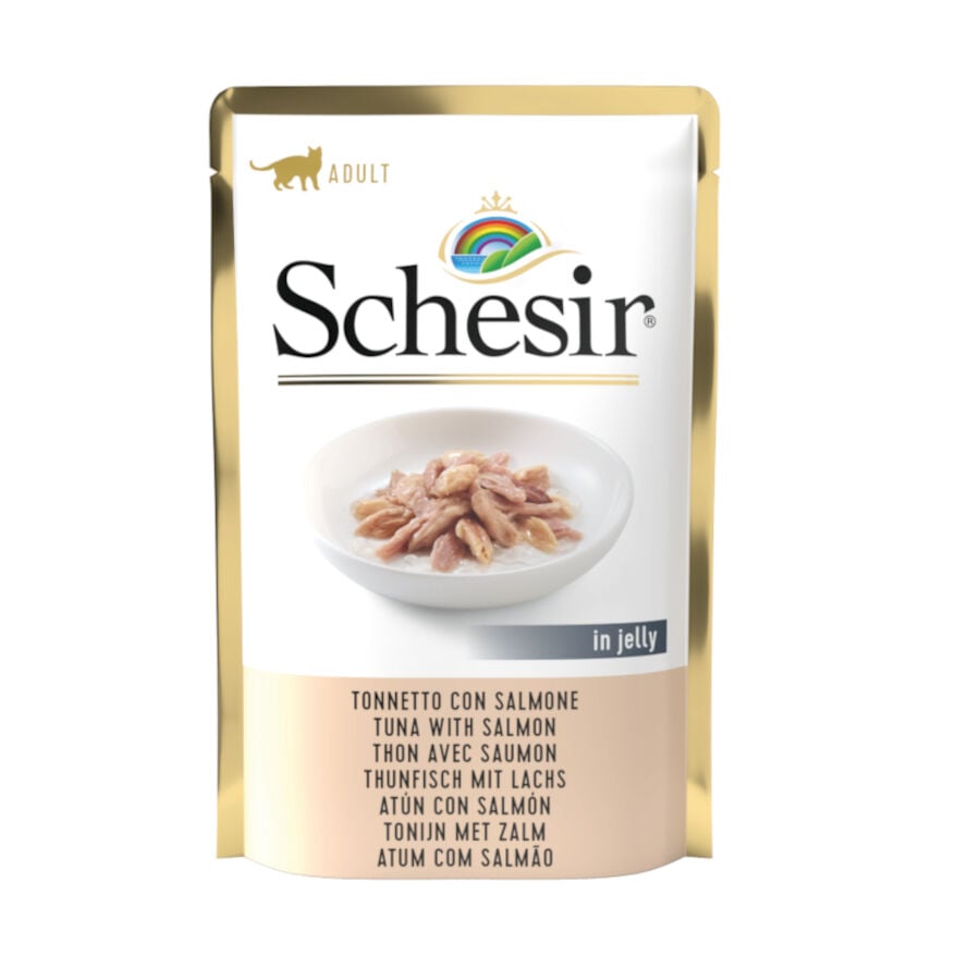 Schesir Adult at&uacute;n con salm&oacute;n sobre para gatos.