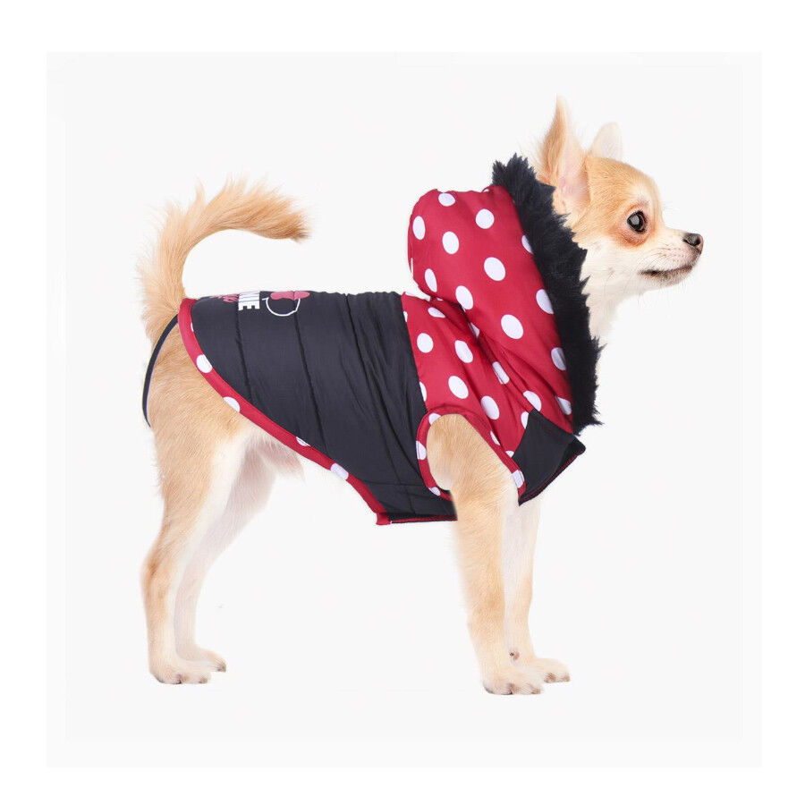 Disney Minnie Mouse Abrigo Acolchado para perros, , large indicador imagen numero 3