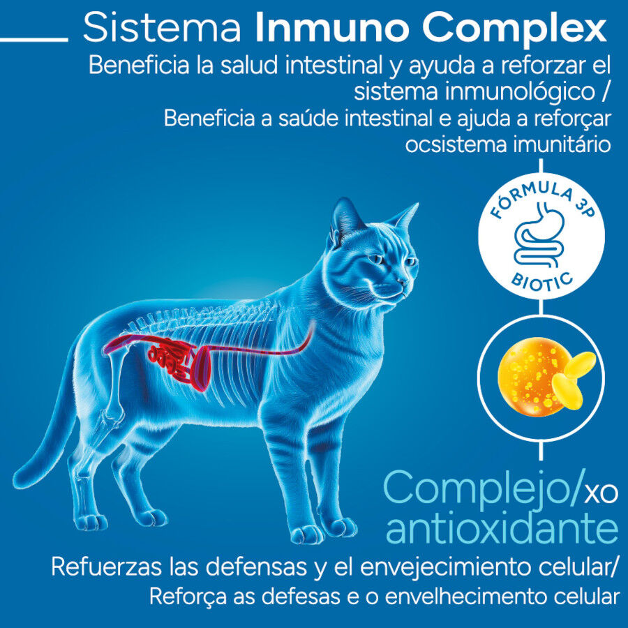 2 kg Criadores Cient&iacute;fico Mature +7 Pollo pienso para gatos, , large Imagen numero 3