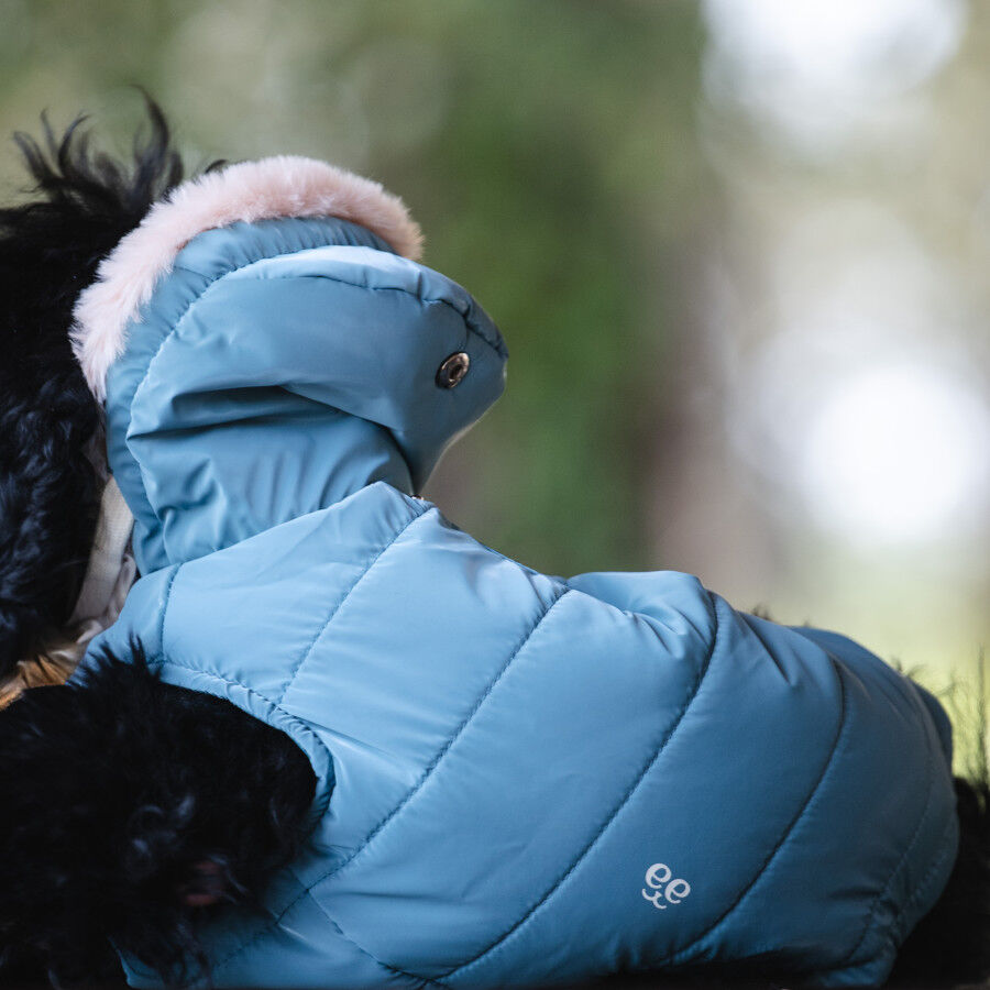 Freedog Abrigo Impermeable Iceguard Azul Cielo para perros, , large indicador imagen numero 5