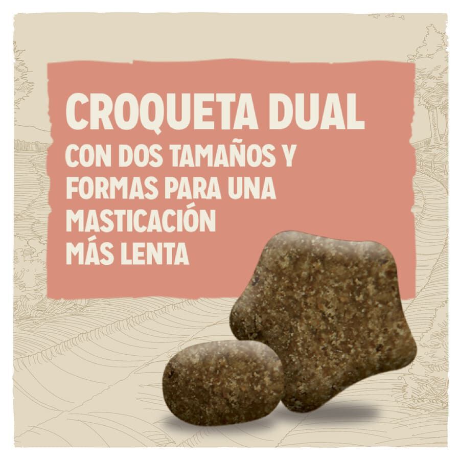 14 kg Dog Chow Sensitive Salm&oacute;n pienso para perros, , large indicador imagen numero 3
