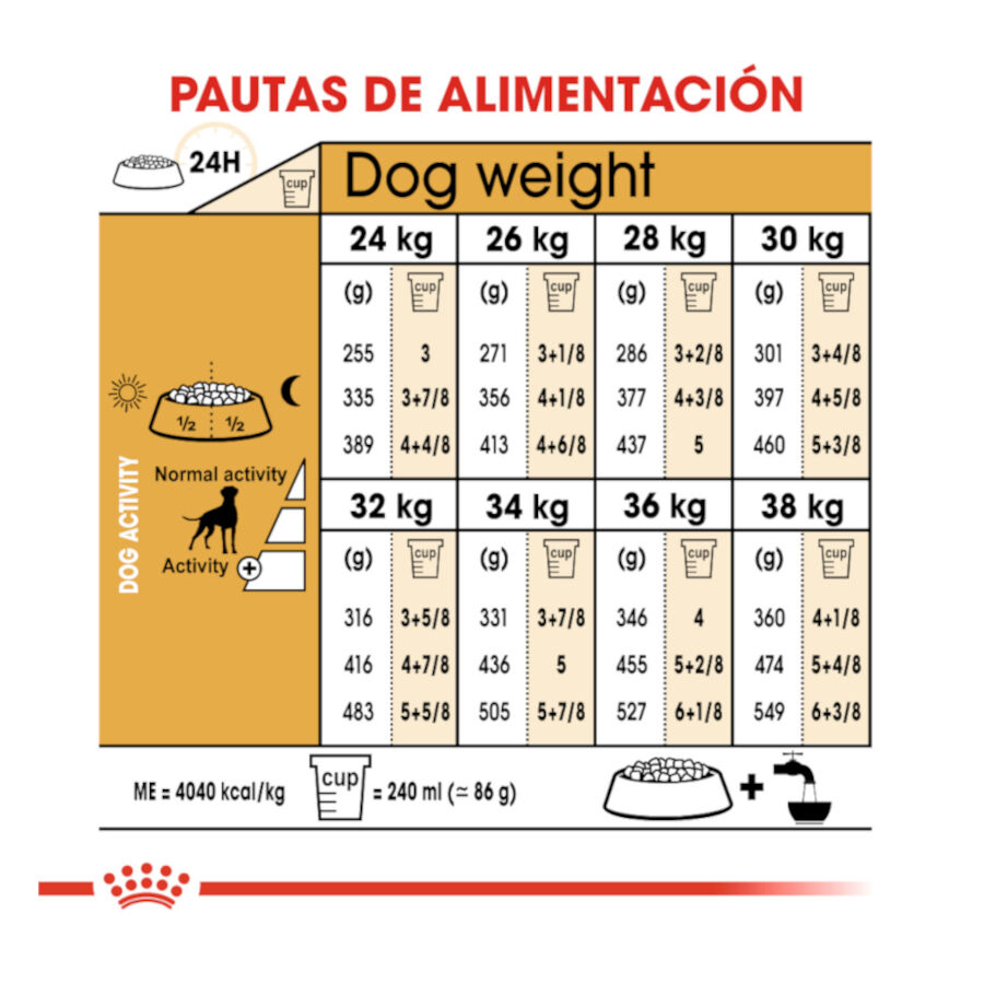 12 kg Royal Canin Adult Boxer pienso para perros, , large Imagen numero 8