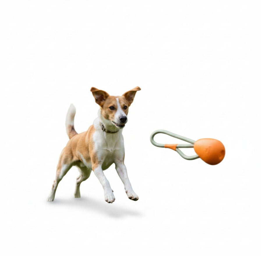 BECO Mordedor de Goma con Cuerda Naranja para perros, , large indicador imagen numero 6