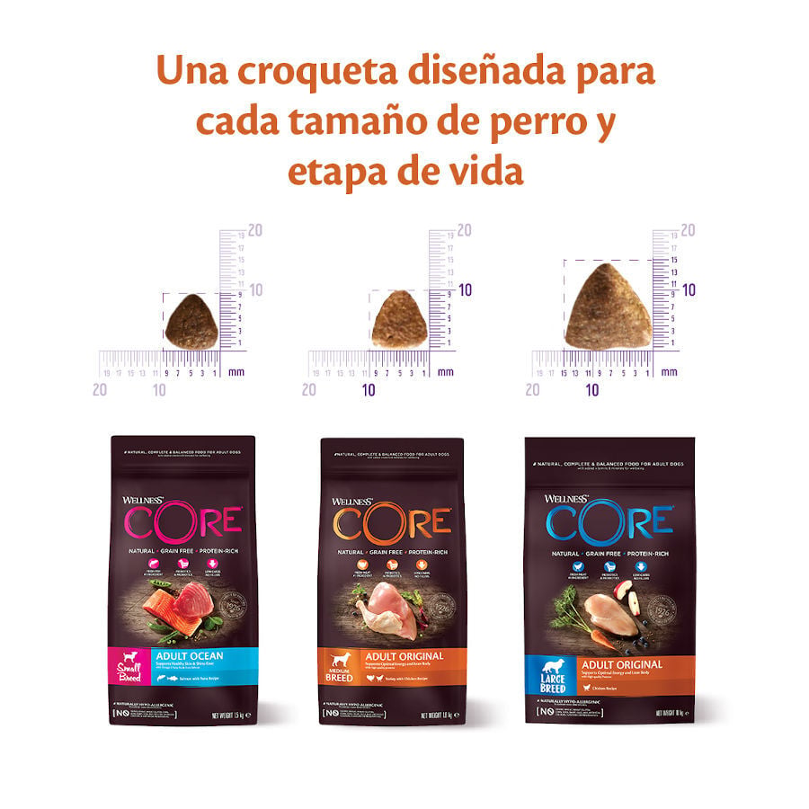 5 kg Wellness Core Adult Small Healthy Pavo pienso para perros, , large indicador imagen numero 3