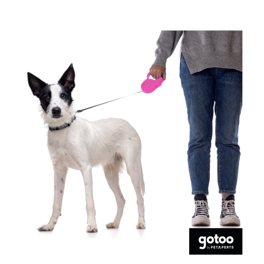 Gotoo Correa extensible rosa para perros, , large Imagen numero 3